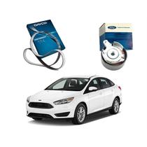Correia Dentada Tensor Focus Sedan 1.6 2016 A 2019