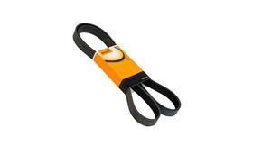 Correia do alternador - laguna 2.0 16v / laguna 3.0 v6 24v