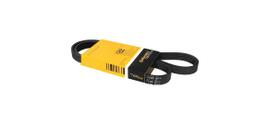 Correia do alternador - novo palio 1.6 16v etorq c/ ar e dh