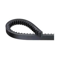 Correia em V Dentada Primeira Linha BX-30 Continental