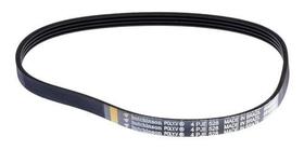 Correia Lavadora Electrolux LTC07 65400081 4PJE 528 Original de Alta Qualidade