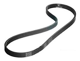 Correia Lavadora Tanquinho Mueller Linea 4pje704 Original