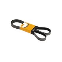 Correia Multi V Caminhão 1215C 4.3 12V 8Pk2020 Contitech