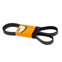 Correia Multi V Contitech Honda Civic / Porsche Cayman