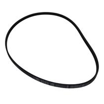 Correia Para Lavadora Tanquinho Mueller Family Original