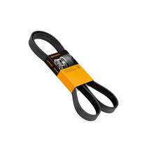 Correia poli v accent cerato i30 palio siena