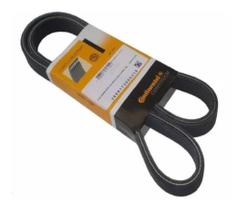 Correia Poly V 4 Pk 915 Correia Poly V 4 Pk 915