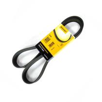 Correia Poly V 8Pk1420 Cargo 1422 1622 2322 3224 3530 4030 F250 F4000 MB 1215 1622 1718 2423 712 914 Lo915 O500 Of1417 Of1418 Of1519 Of1721 Of1722 Oh1