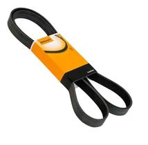 Correia Poly V Alt/Ba-Palio/Siena/Fiorino Acd-Ducato Boxer