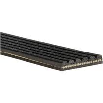Correia Poly V Citroen Xsara Picasso 2005 a 2011 GATES Correia Poly V Citroen Xsara Picasso 2005 a 2011 GATES