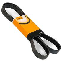 Correia Poly V Cobalt 1.4 1.8 10/ Gir Alt Dh Acd