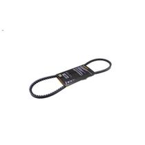 Correia Poly V - Continental 10X0855 Correia Poly V - Continental 10X0855