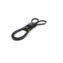 Correia Poly V - Continental 13X1725 Correia Poly V - Continental 13X1725