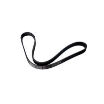 Correia poly v contitech ford focus 10 ...