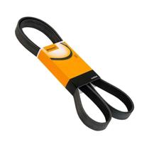 Correia Poly V Fiorino Idea Palio Siena Strada Maz da 626 750I 1167Mm