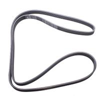Correia Poly V Troller T4 2000 a 2005 - 189503 - 6PK1878
