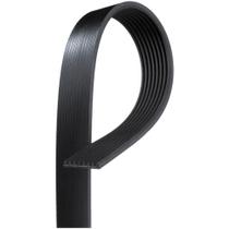 Correia Poly V Volare Wfly 2013 a GATES 8PK2225