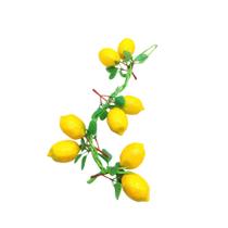 Corrente De Frutas Artificiais Com 8 Frutas E 50cm De Comprimento Total