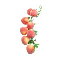 Corrente De Frutas Artificiais Com 8 Frutas E 50cm De Comprimento Total