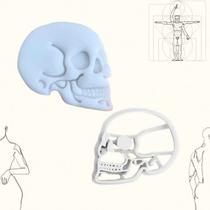 Cortador Anatomia Humana - Crânio 5,5cm