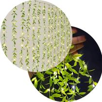 Cortina De Pisca Leds Luz Amarelo Com Fio Jardim Folhas 220v Cortina De Pisca Leds Luz Amarelo Com Fio Jardim Folhas 220v