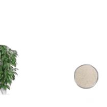 Cortina Marfim Renda Com Forro Sala Quarto 3,00Largx1,80Alt Cortina Marfim Renda Com Forro Sala Quarto 3,00Largx1,80Alt