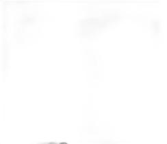 Cortina Roma 3,00X2,20 Quarto Sala Escritorio Rosa