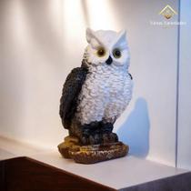 Coruja Afasta Pombos Passaros Pardal Maritaca Repelente Natural e Eficiente - AVB DECOR