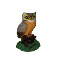 Coruja Colorida De Resina