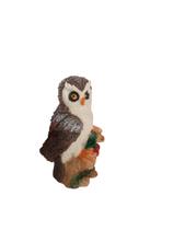 Coruja Com Fruta Decorativa