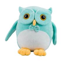 Coruja de Pelúcia Verde Patas Amarelas 18cm Coruja de Pelúcia Verde Patas Amarelas 18cm