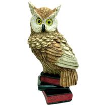 Coruja Decorativa De Gesso Com Olho De Vidro Sobre Livros Coruja Decorativa De Gesso Com Olho De Vidro Sobre Livros