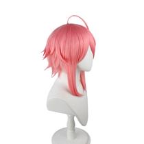 Cosplay Wig Ensembles Stars Toris Himemiyas Synthetic Himemiyas Cosplay Wig Ensembles Stars Toris Himemiyas Synthetic Himemiyas