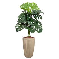 Costela De Adão Artifical com Vaso Polietileno Completo Casa