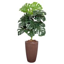 Costela De Adão Artifical com Vaso Polietileno Completo Casa