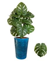 Costela De Adão Artificial Com Vaso Marmorizado Polietileno