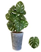 Costela De Adão Artificial Com Vaso Marmorizado Polietileno