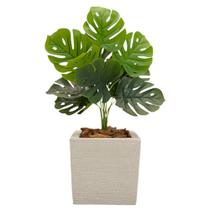 Costela De Adão Artificial Vaso Polietileno Completo Planta