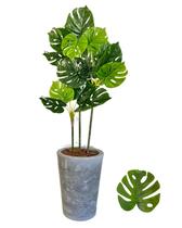 Costela de Adão Planta Artificial Troncos + Vaso Marmorizado