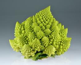 Couve Flor Romanesco Kéfera - 600mg de Sementes