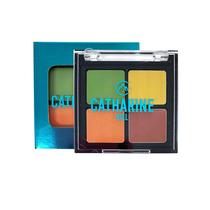 Cover Kit Camuflagem Catharine Hill Quarteto Corretivos Coloridos 4 Cores A Prova D'Água