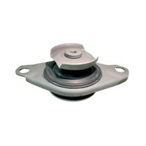 Coxim Câmbio Palio, Siena, Strada