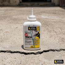 Crack Filler Stop Trincas 700g Concreto Pulo do Gato Crack Filler Stop Trincas 700g Concreto Pulo do Gato