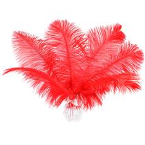 Craft Feathers Soarer Red Ostrich 15 unidades de 30-35 cm para decoração