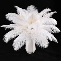 Craft Feathers THARAHT Ostrich White 24 unidades 25-30 cm