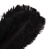 Craft Feathers XKTEI Ostrich Black 30-35 cm 10 unidades