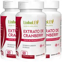 Cranberry Extrato 3 Frascos - Polifenois Proantocianidinas