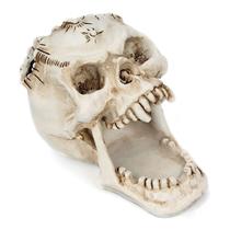 Crânio cabeça ornamento esqueleto porta-caneta desktop pencil organizador maquiagem armazenamento de ferramentas de escova - Branco