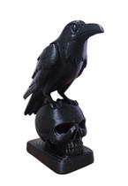 Crânio Caveira Com Corvo impressão em 3D Decoração Crânio Caveira Com Corvo impressão em 3D Decoração