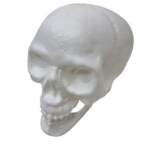 Cranio Caveira Esqueleto Decorativo Plastico Halloween Grand